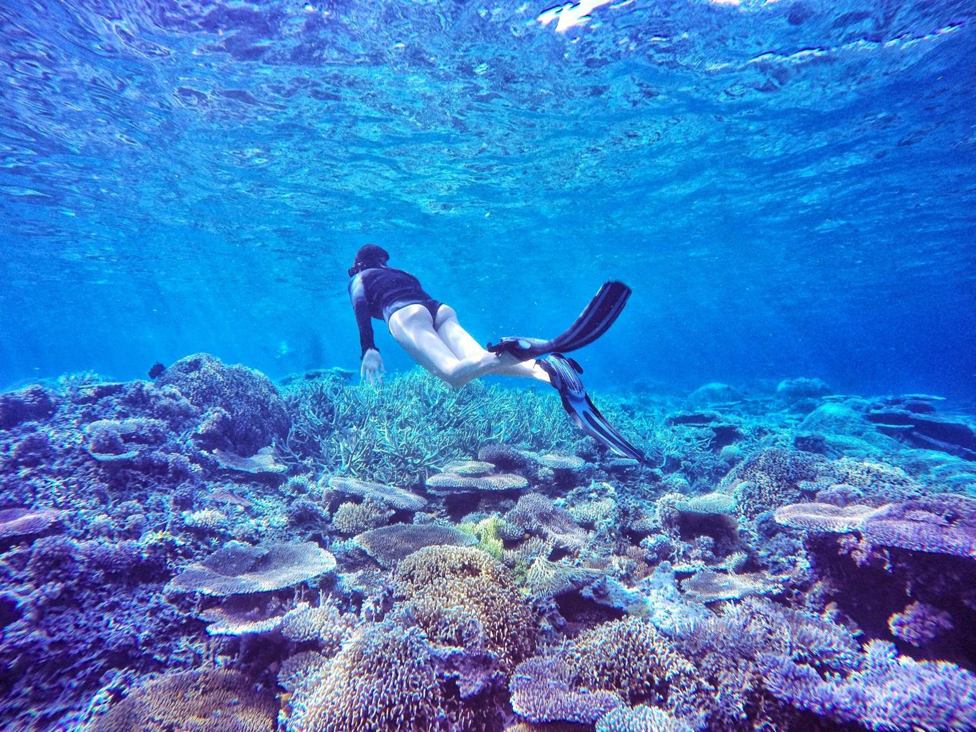 Angkayo Bolilanga Island Resort - Togean Island מראה חיצוני תמונה