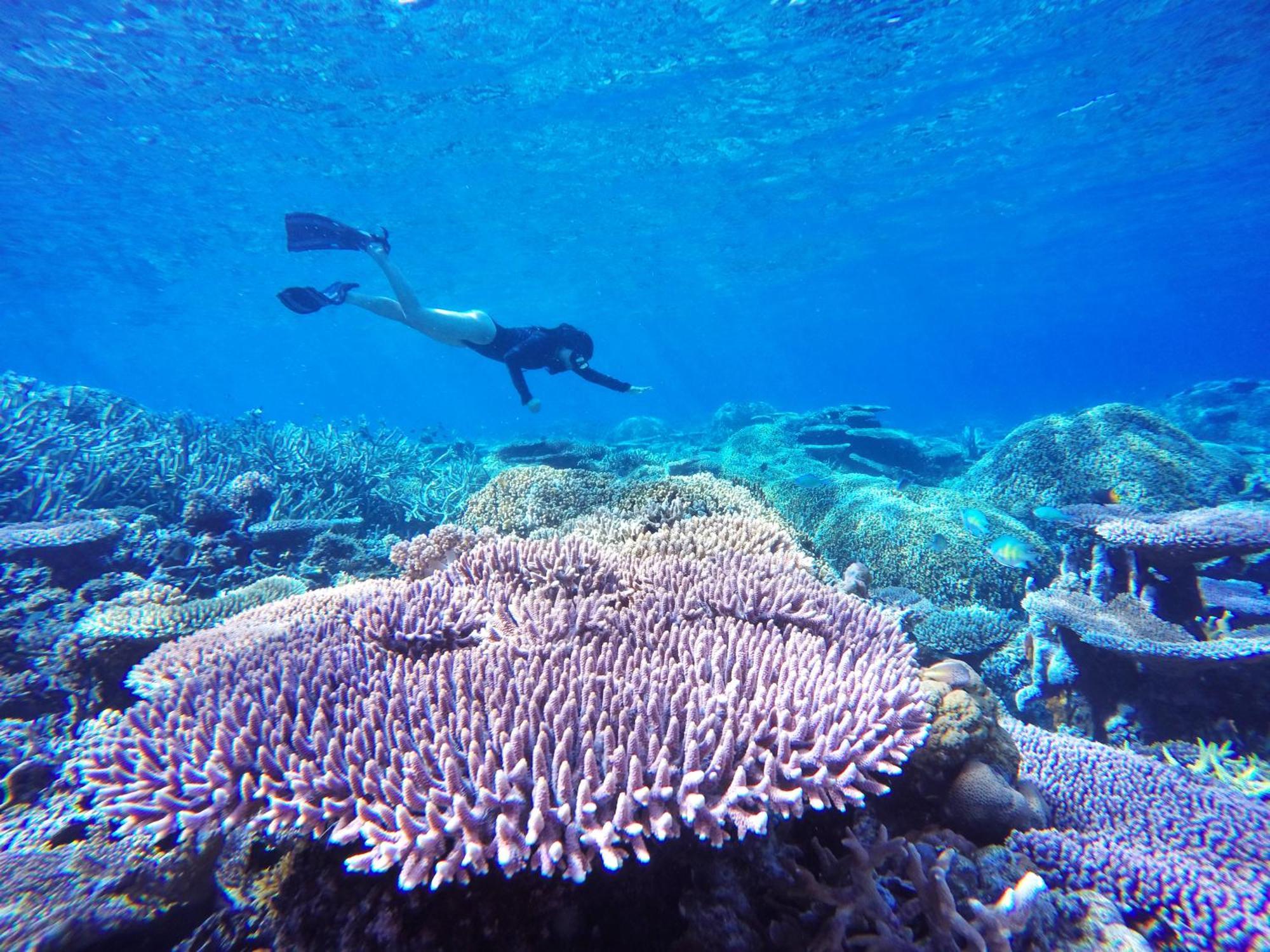 Angkayo Bolilanga Island Resort - Togean Island מראה חיצוני תמונה