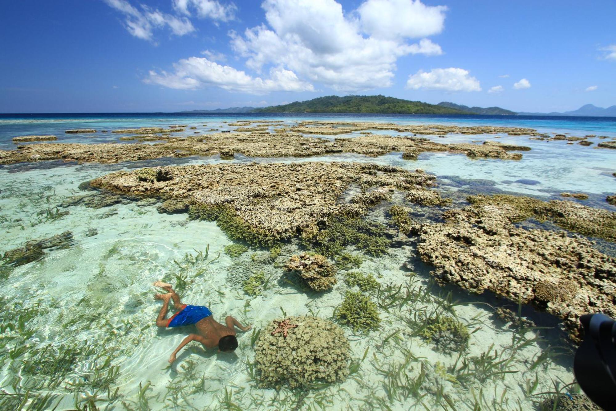 Angkayo Bolilanga Island Resort - Togean Island מראה חיצוני תמונה