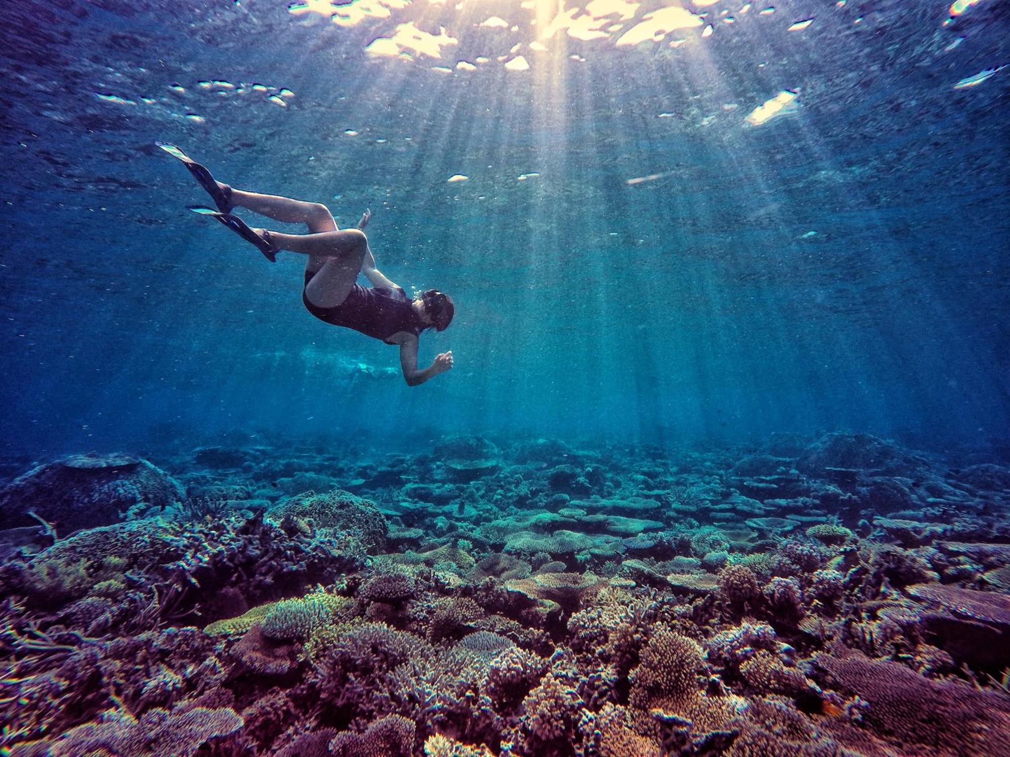 Angkayo Bolilanga Island Resort - Togean Island מראה חיצוני תמונה